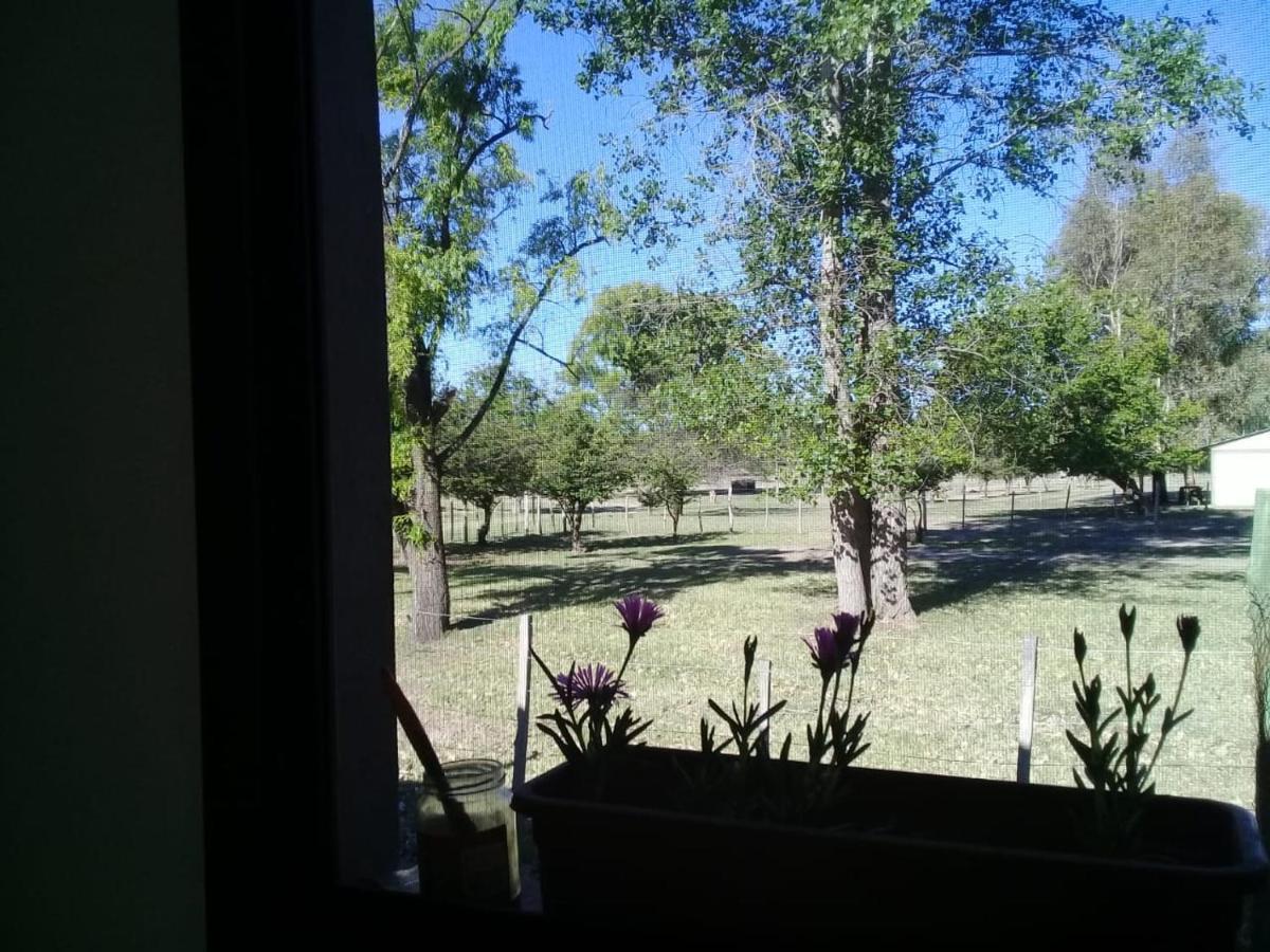 La Casita Del Bosque *