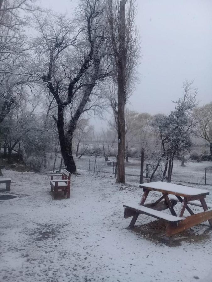 La Casita Del Bosque